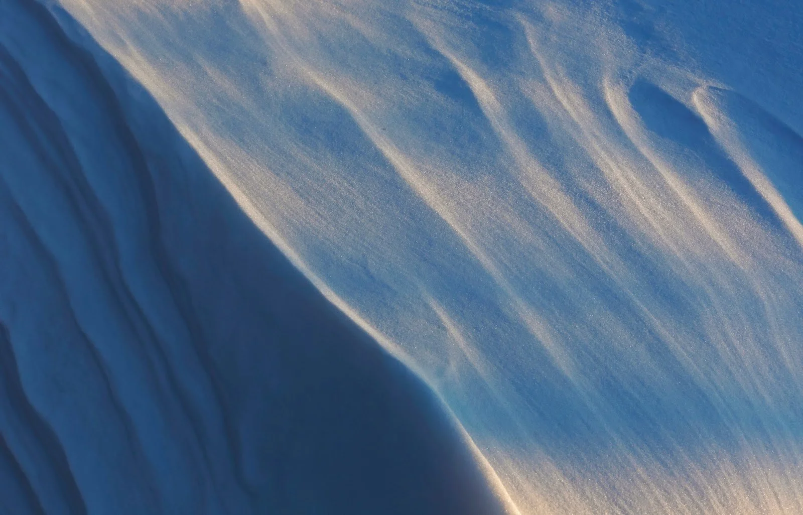 Close-up of a shimmering blue ice with soft folds and sheen, highlighting the golden sheen l.