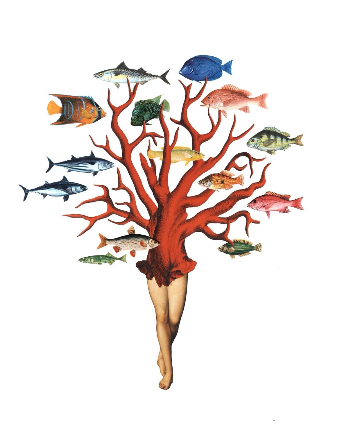 This week&rsquo;s artist highlight features collage by Amy Ross! A must see in person, these works spark conversation with their whimsy and creativity. Small gicl&eacute;e prints on these modern mythical creatures are also available in the Gallery.

