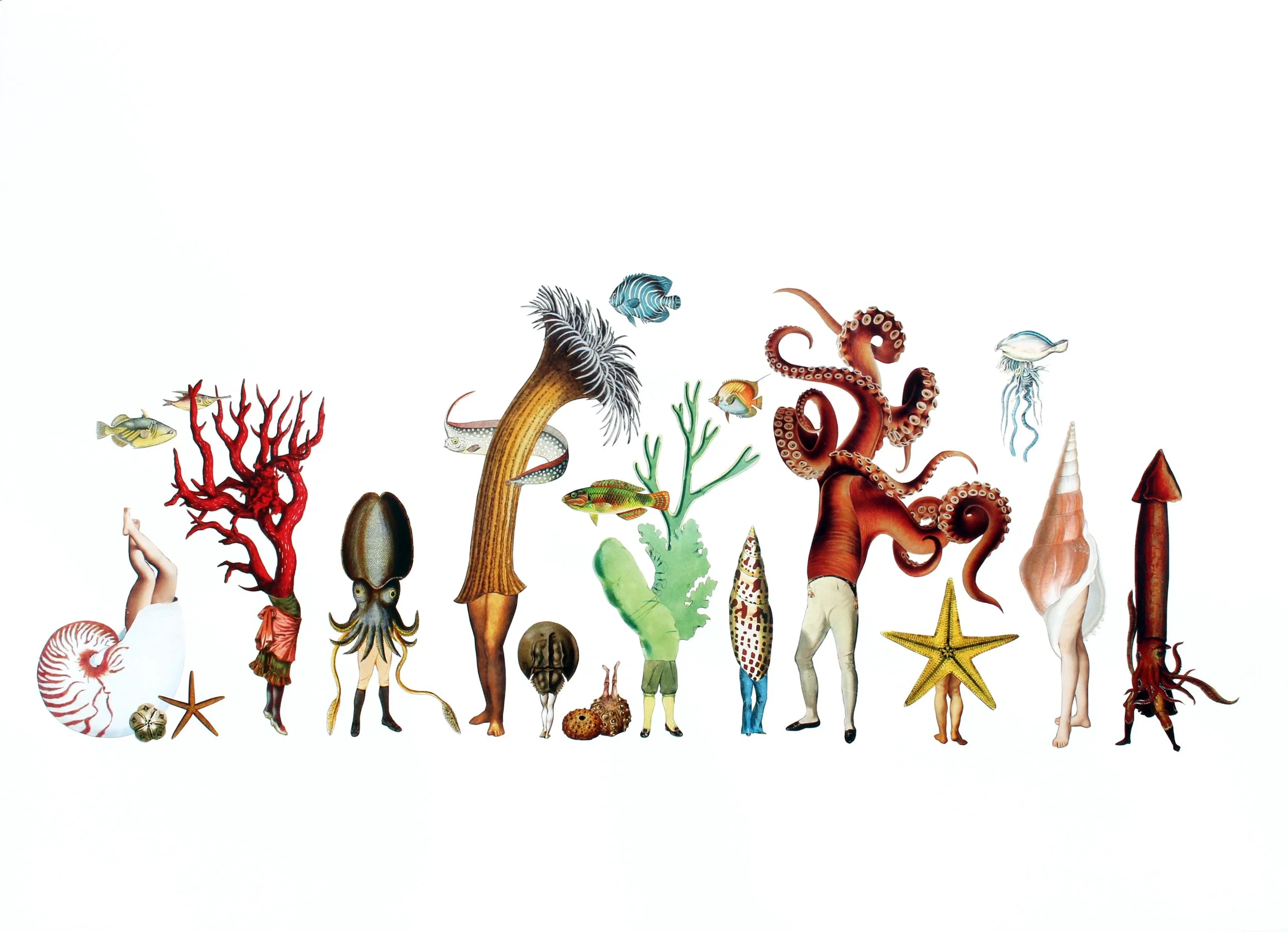 Various marine creatures and coral structures arranged in a line, including fish, an octopus, jellyfish, shells, and starfish against a white background.
