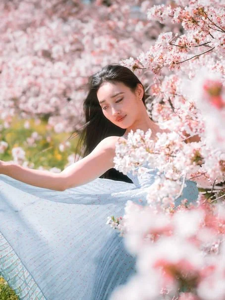My Recommendations for Cherry Blossom Portrait Shoot in Tokyo. A Photographers Point of View.