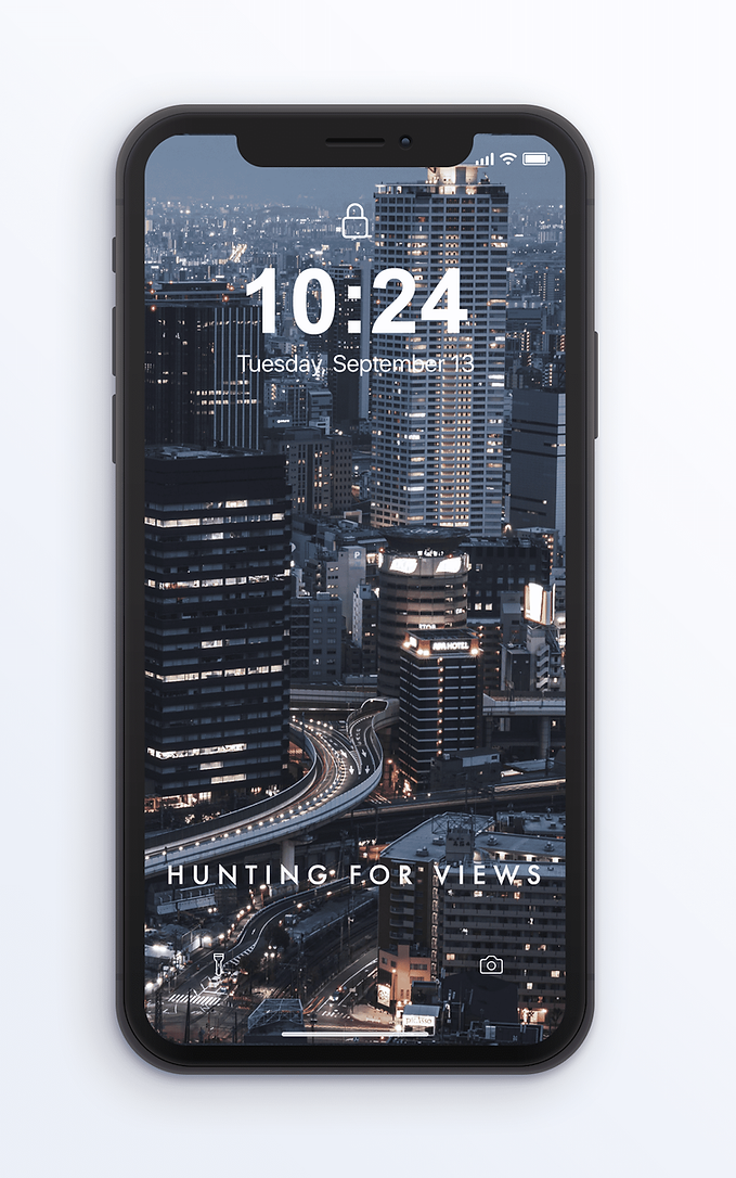 Hunting For Views