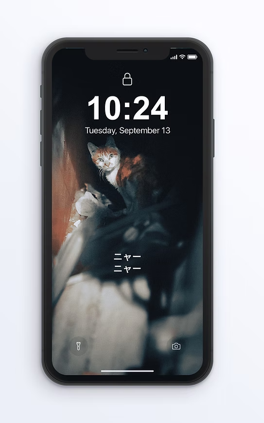 Kitty