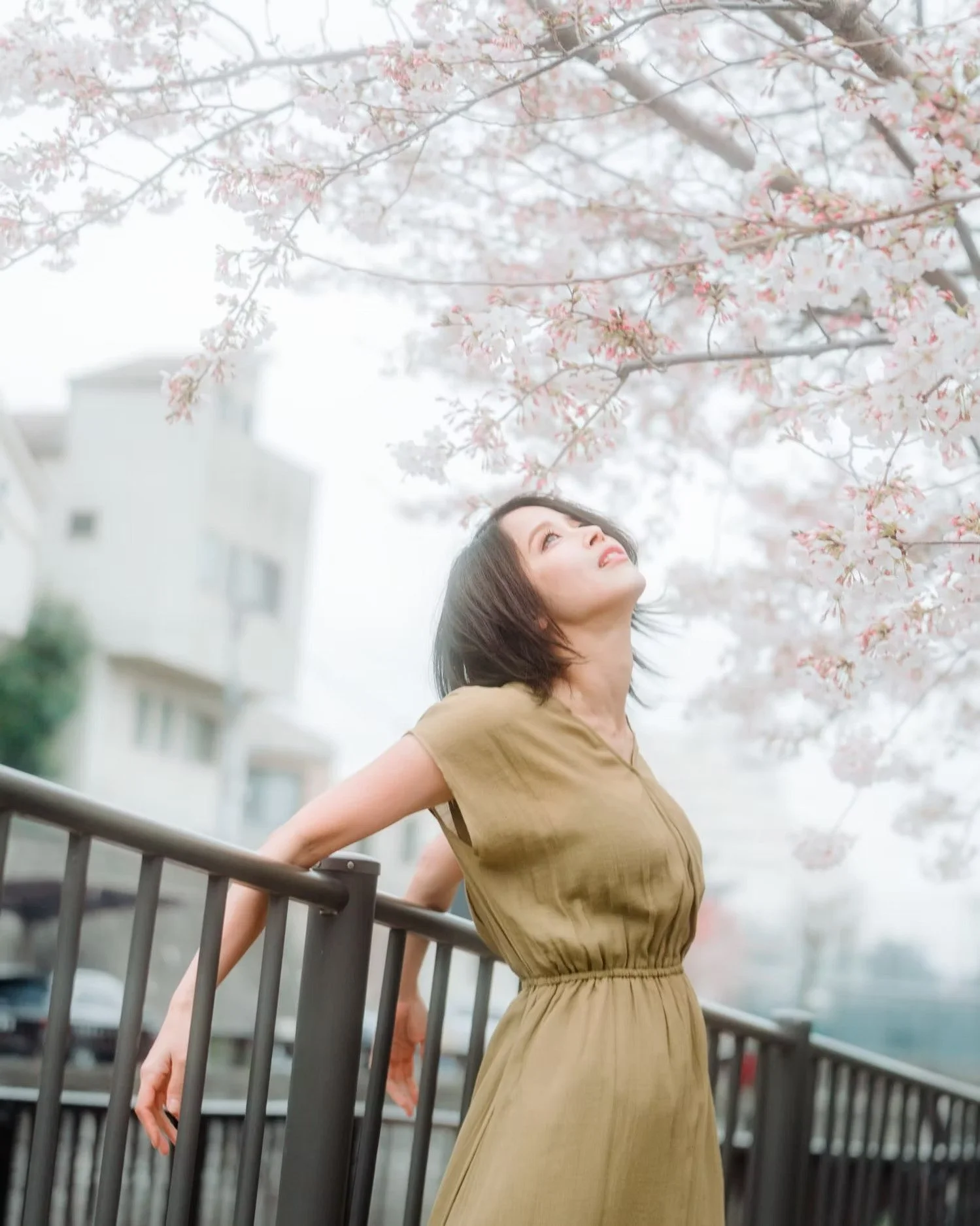 A woman in a tan dress leaning back with her arms on a metal railing, looking up at blooming cherry blossoms in an urban area.
