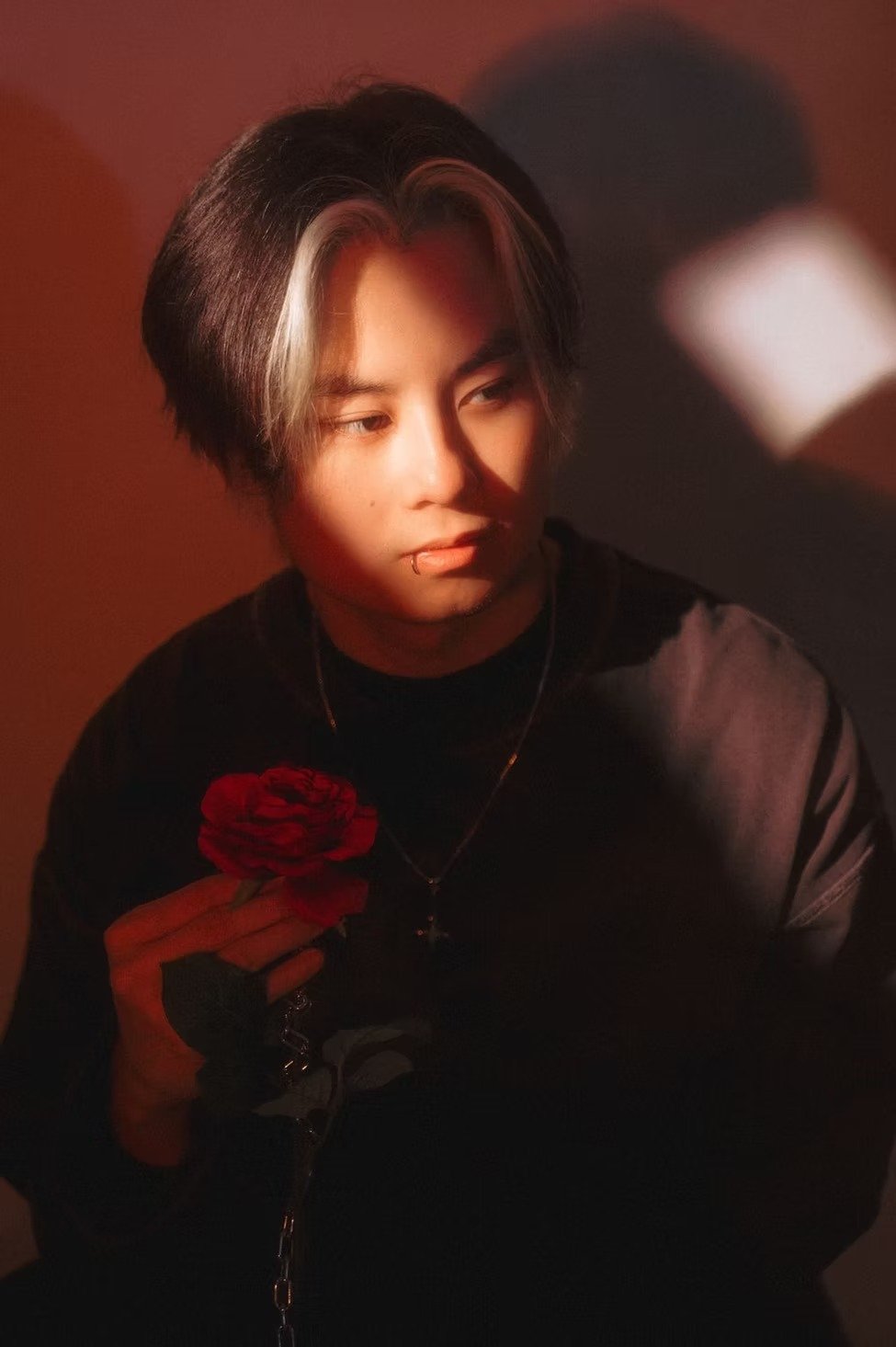 Male model in a soft pose with creative dramatic lighting holding a rose