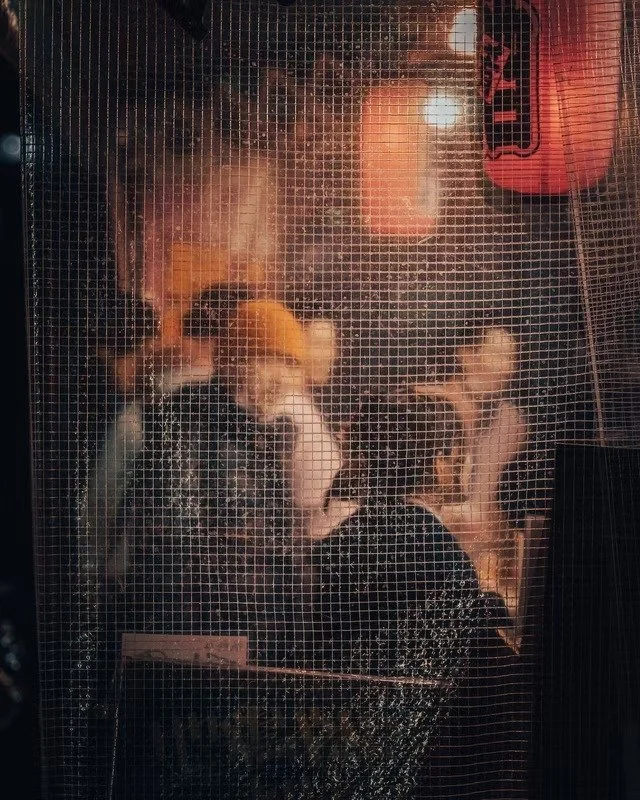 Tokyo Street Through Restaurant Netting