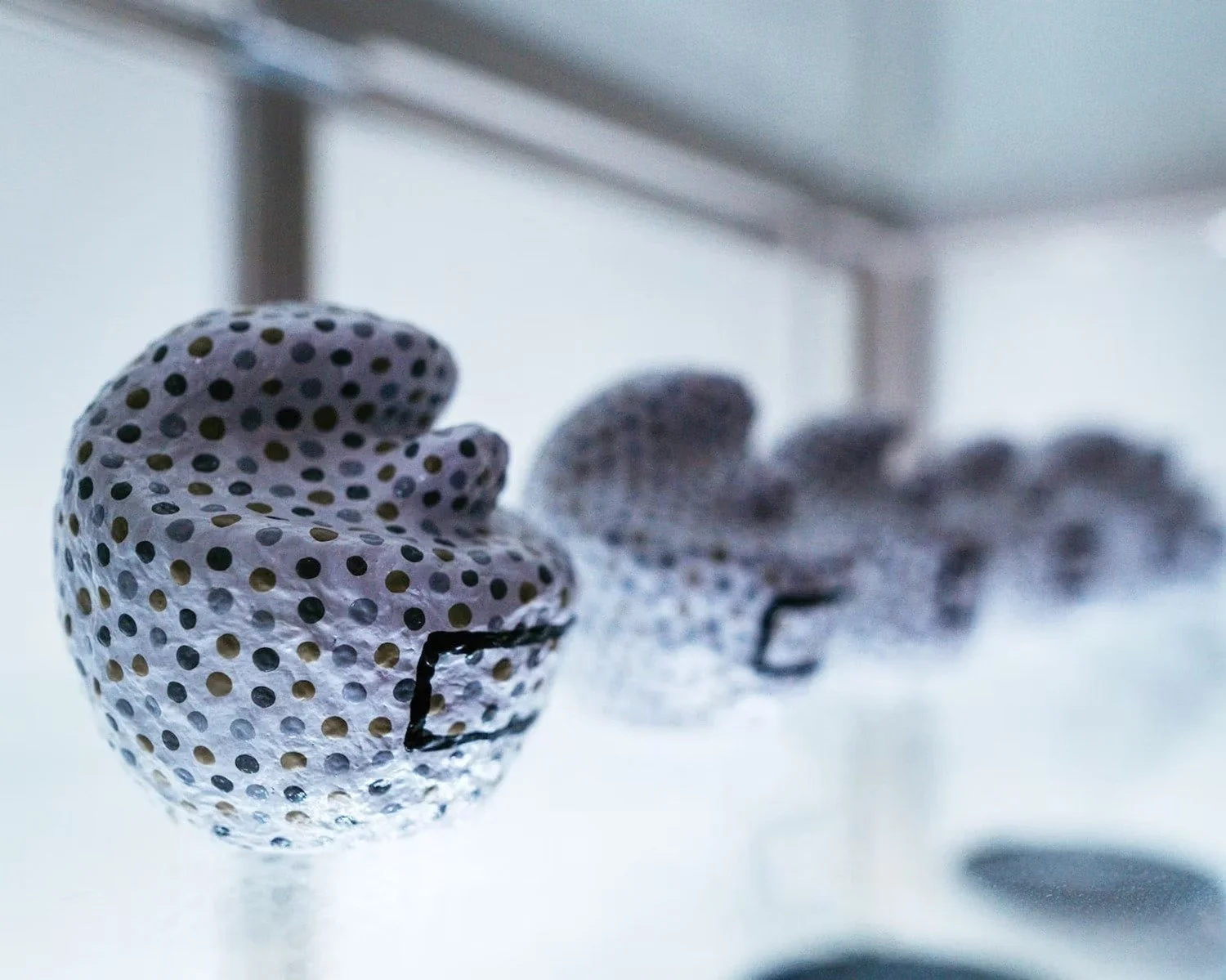 Polka Dot Art Installation in Tokyo