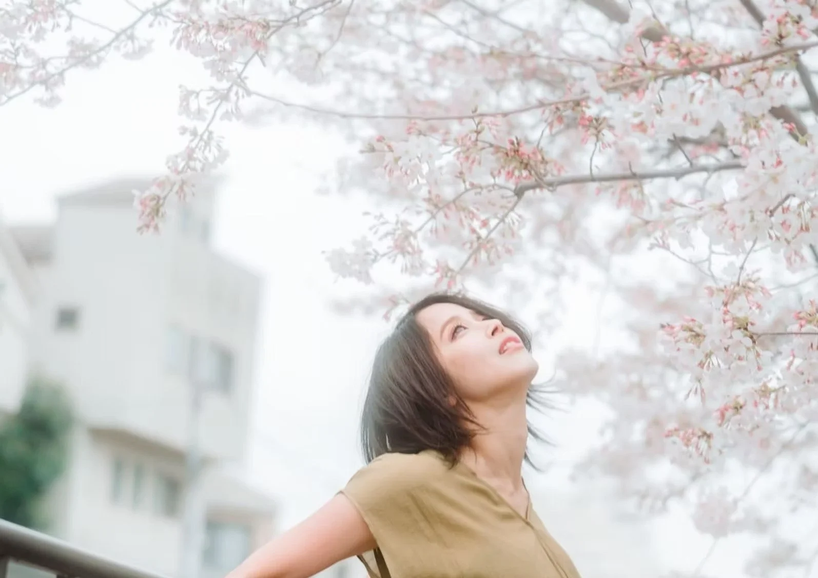 A woman in a green dress stands under a cherry blossom tree, gazing upwards at the pink blooms. The soft spring light and delicate petals create a tranquil, dreamy scene.