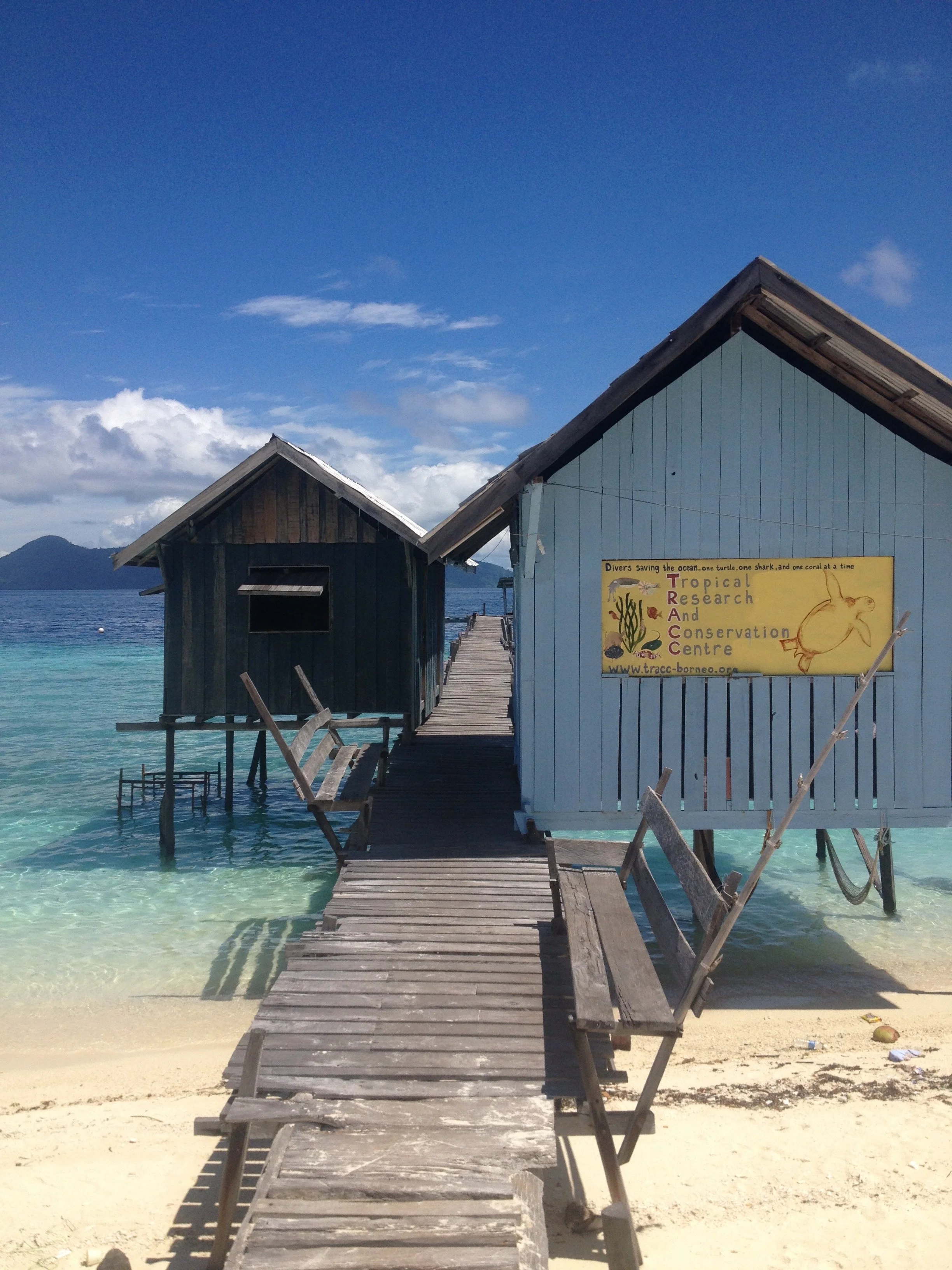 Excerpt: Travel Log, Malaysia
