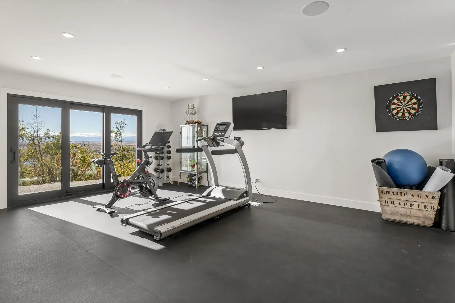 Home gym with treadmill, exercise bike, and weights near large glass doors showing trees and sky outside; wall-mounted TV and dartboard; gym equipment and decor on side