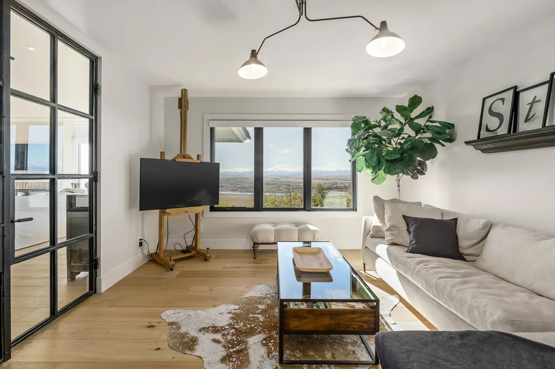 A modern living room with a white sofa, black and beige pillows, a glass-top coffee table, a cowhide rug, a large window with a scenic view, a flat-screen TV on a wooden stand, and a tall green plant next to the window. The room has white walls and w