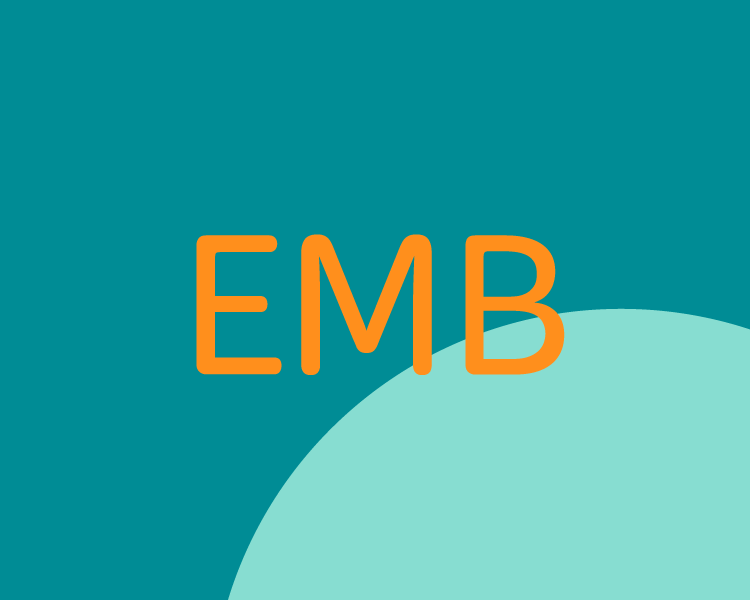Graphic with the text 'EMB' in orange letters on a teal and light blue background.