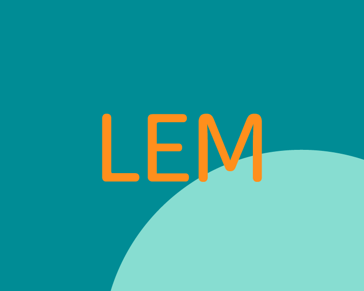 Graphic design with the word 'LEM' in orange letters on a turquoise background with a curved light blue shape.