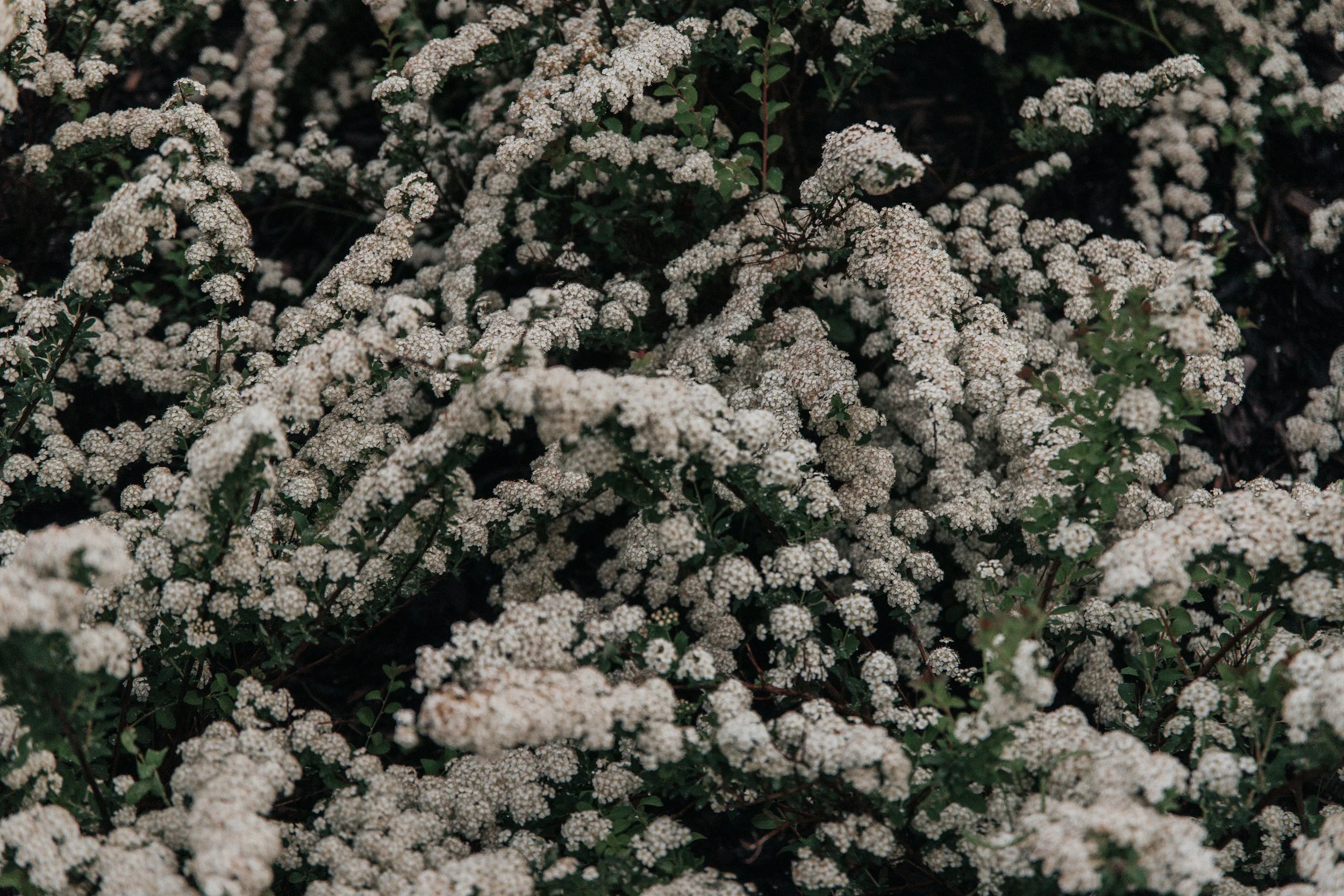 9R5A9927 2.JPG
