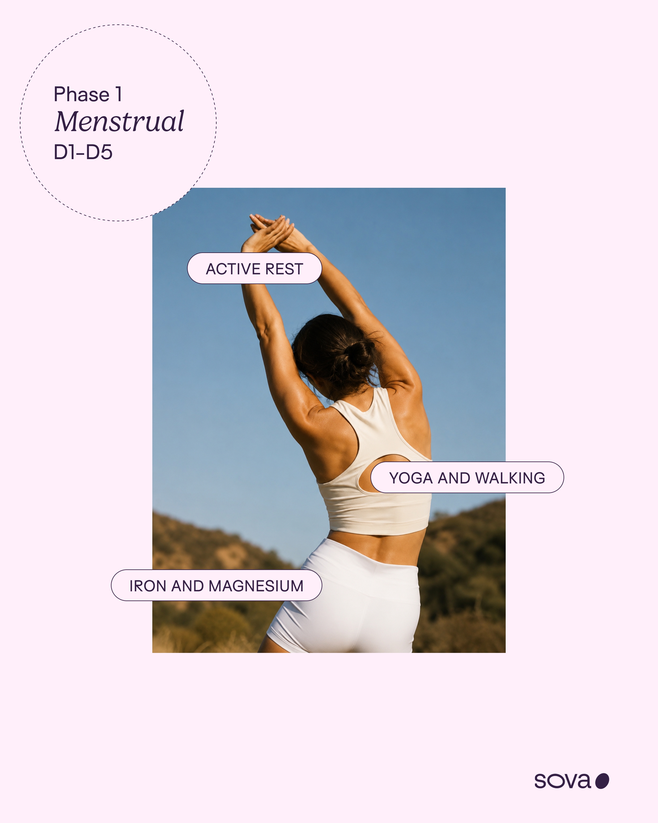 3-Menstrual phase.png