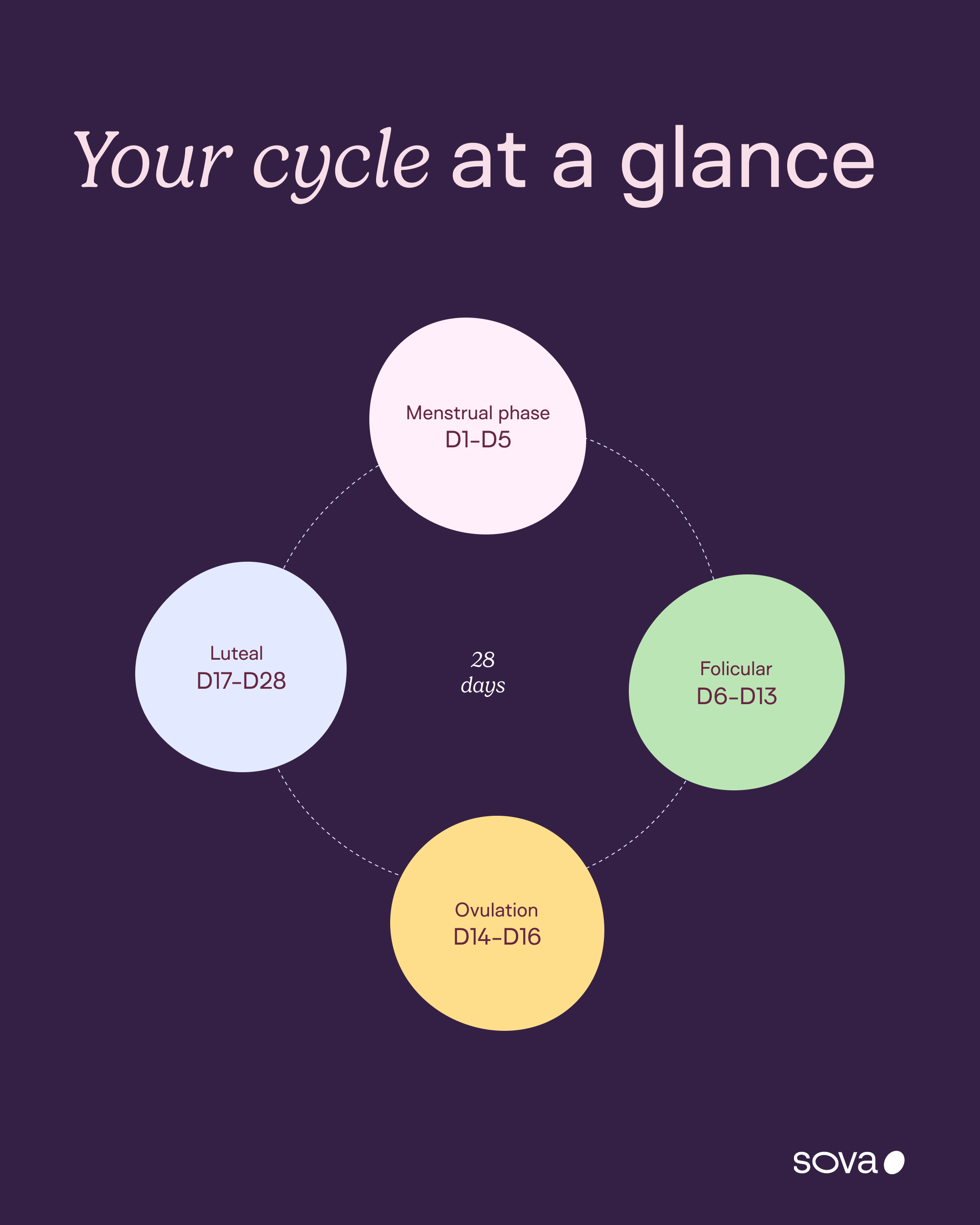 2-overview.png