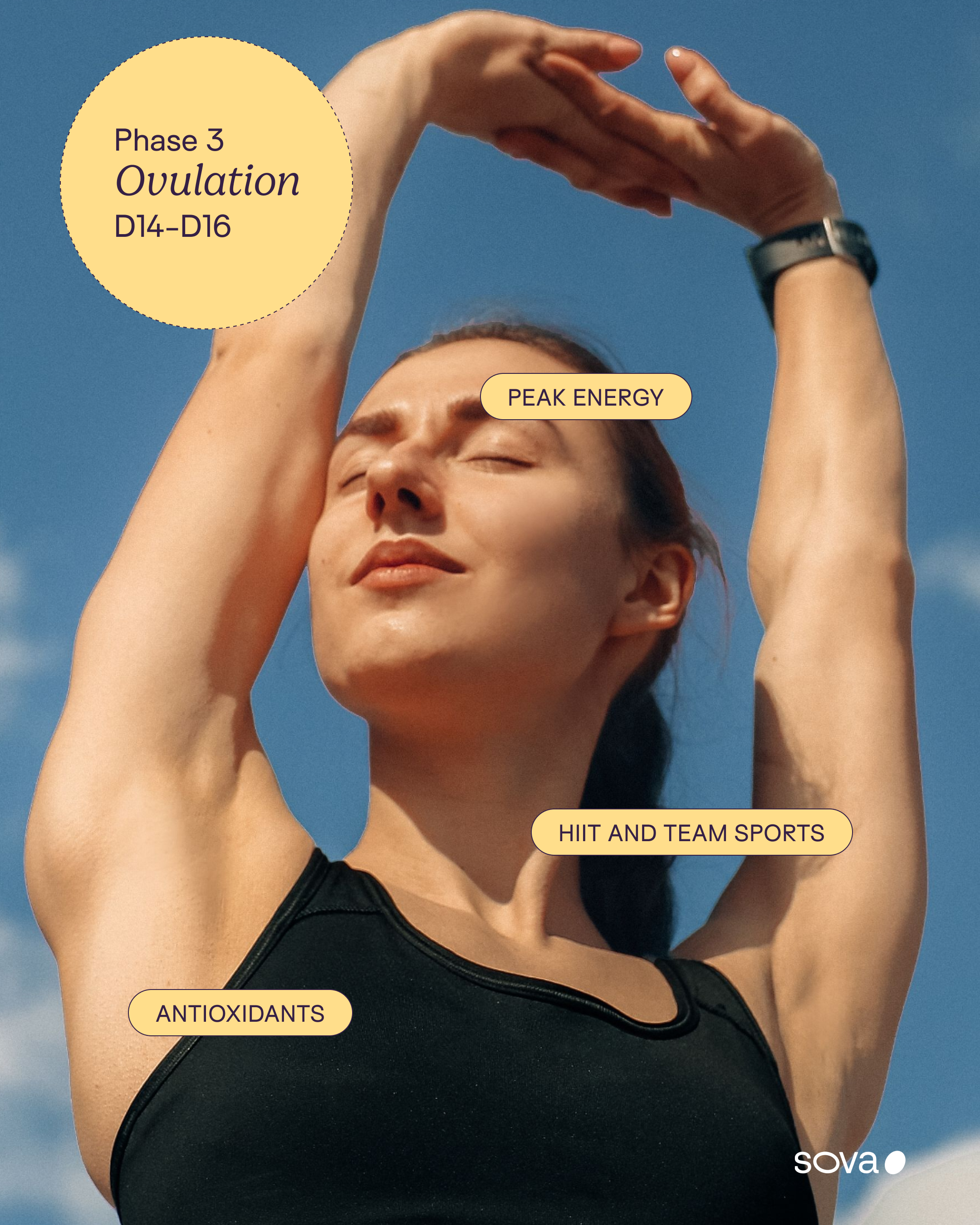 5-Ovulation phase.png