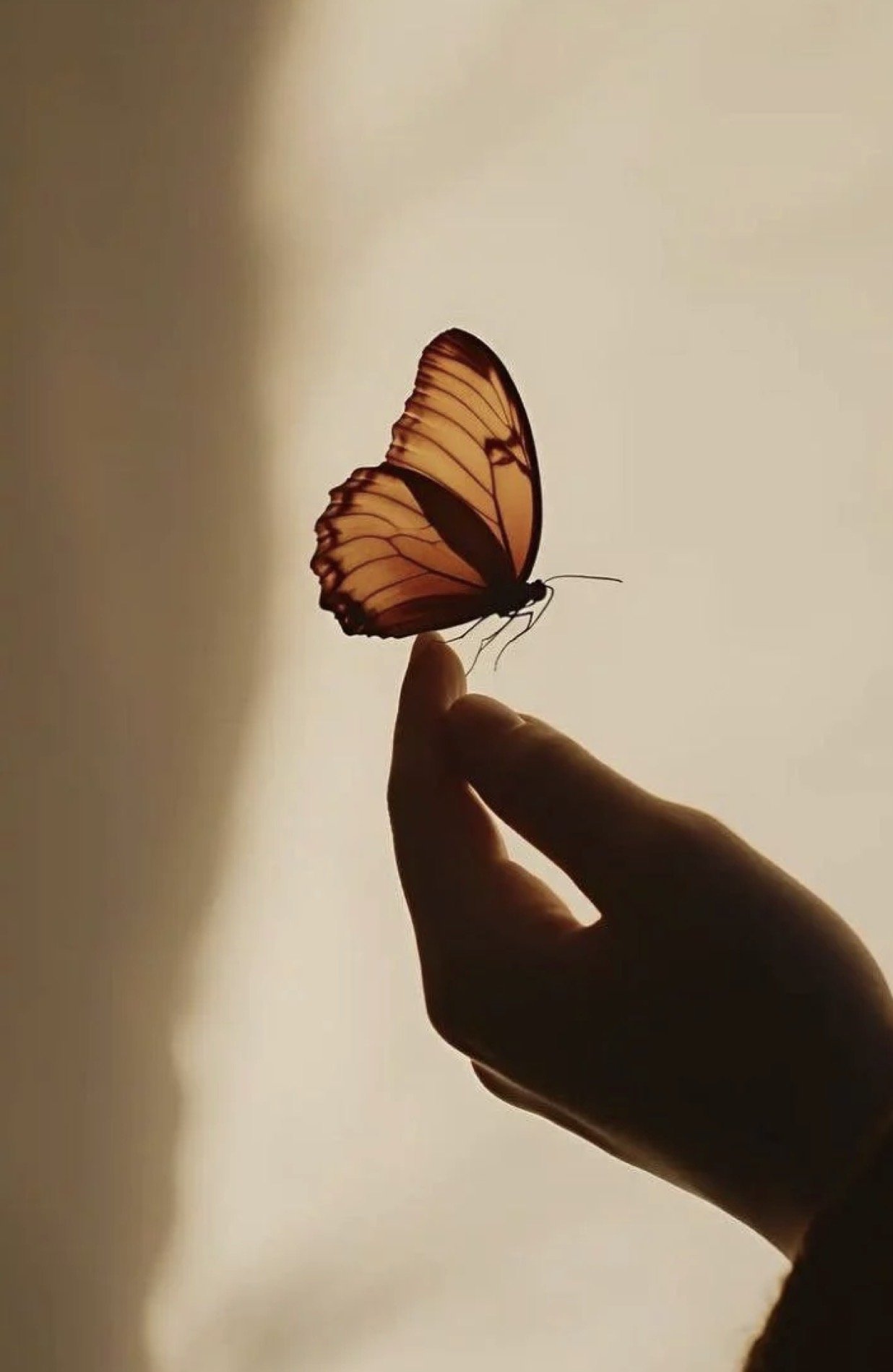 Spoken From The Soul - 60-Minute Private Session