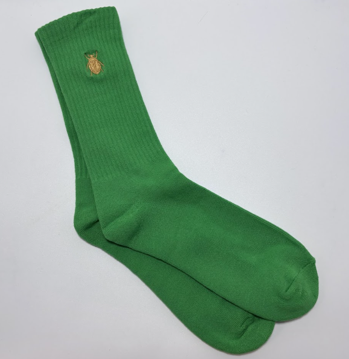 Green socks with gold scarab.png