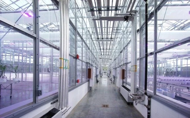 Long industrial or laboratory corridor with glass walls, metal support beams, and various equipment along the sides in a bright, modern facility.