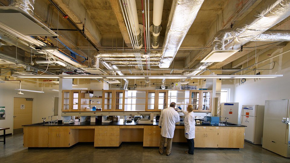 Two scientists in white coats working in a modern laboratory with wooden cabinets, black countertops, and exposed ceiling pipes and ducts.