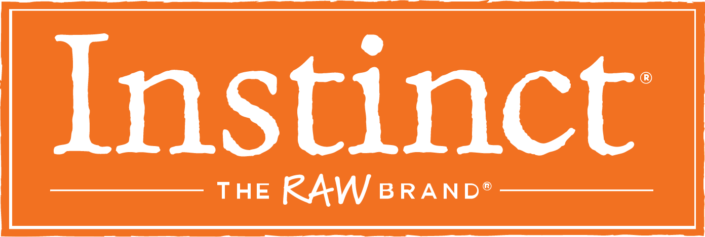 Orange rectangular logo with white textured text that reads "Instruct" and beneath it, in smaller font, "The RAW Brand".