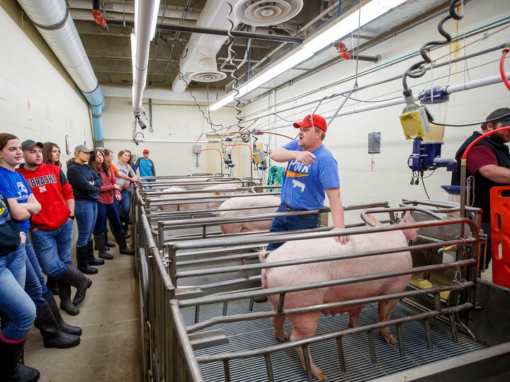 A group of students observing pigs in a farm facility while a worker explains about them.