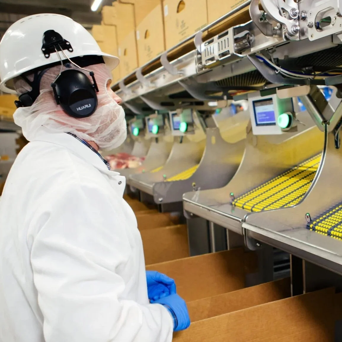 A worker wearing a white lab coat, blue gloves, a hairnet, a face mask, and hearing protection, observes meat processing machinery in a factory.