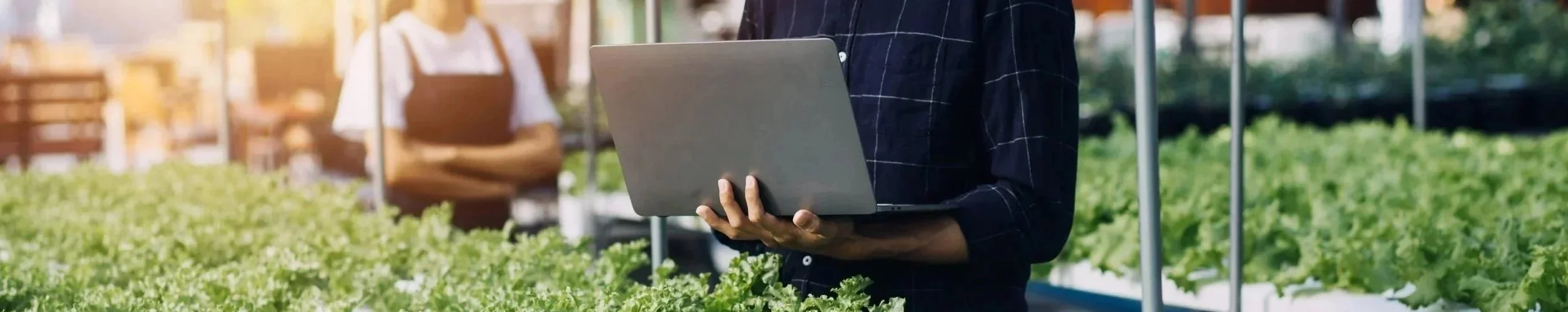 Person holding a laptop in a greenhouse or indoor garden with leafy plants, with another person in the background.
