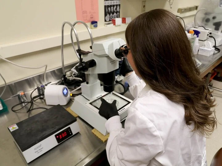 A scientist in a white lab coat looking into a microscope in a laboratory setting.