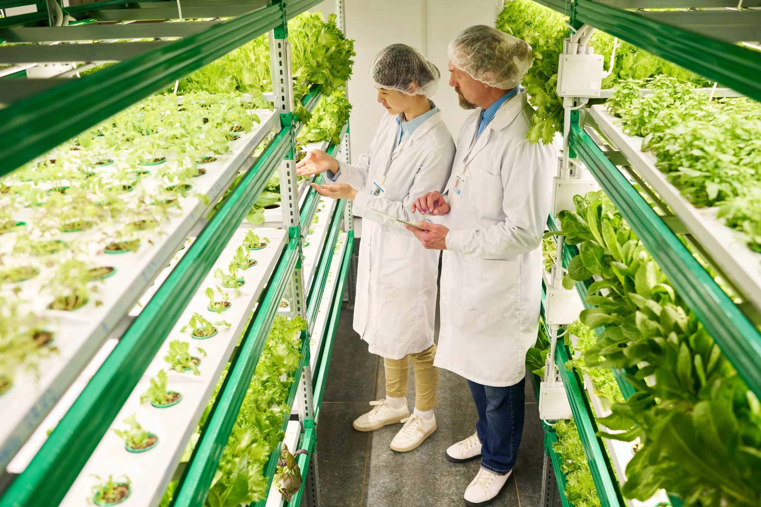 Two scientists or researchers wearing white lab coats and hair nets examining green leafy plants in a controlled hydroponic or indoor farm environment with multiple shelves of plants.