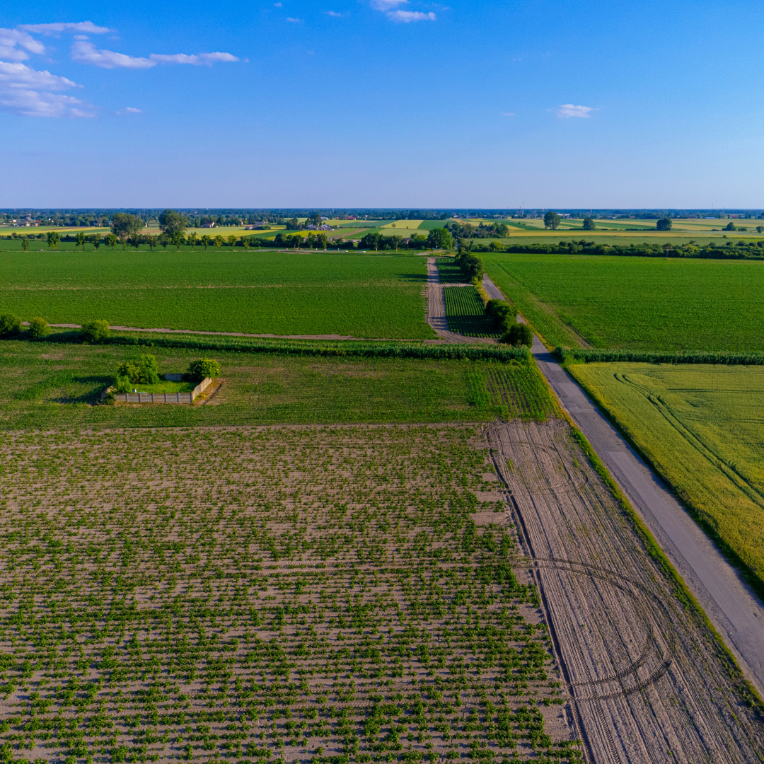 Aerial view of farmland with various green crops, roads, and trees under a blue sky with some clouds.