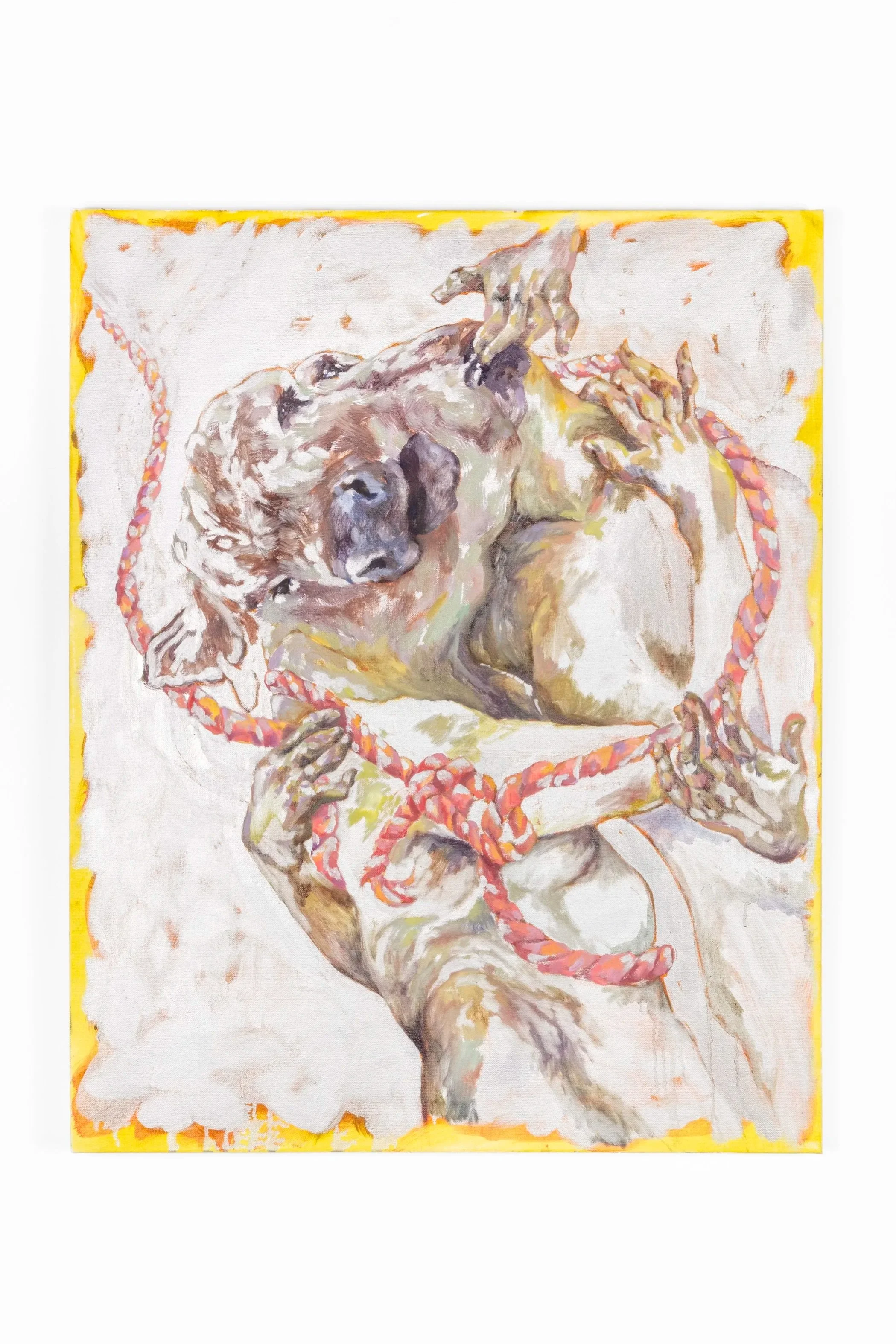 Painting of a dog lying on its back, holding a red and white rope in its paws