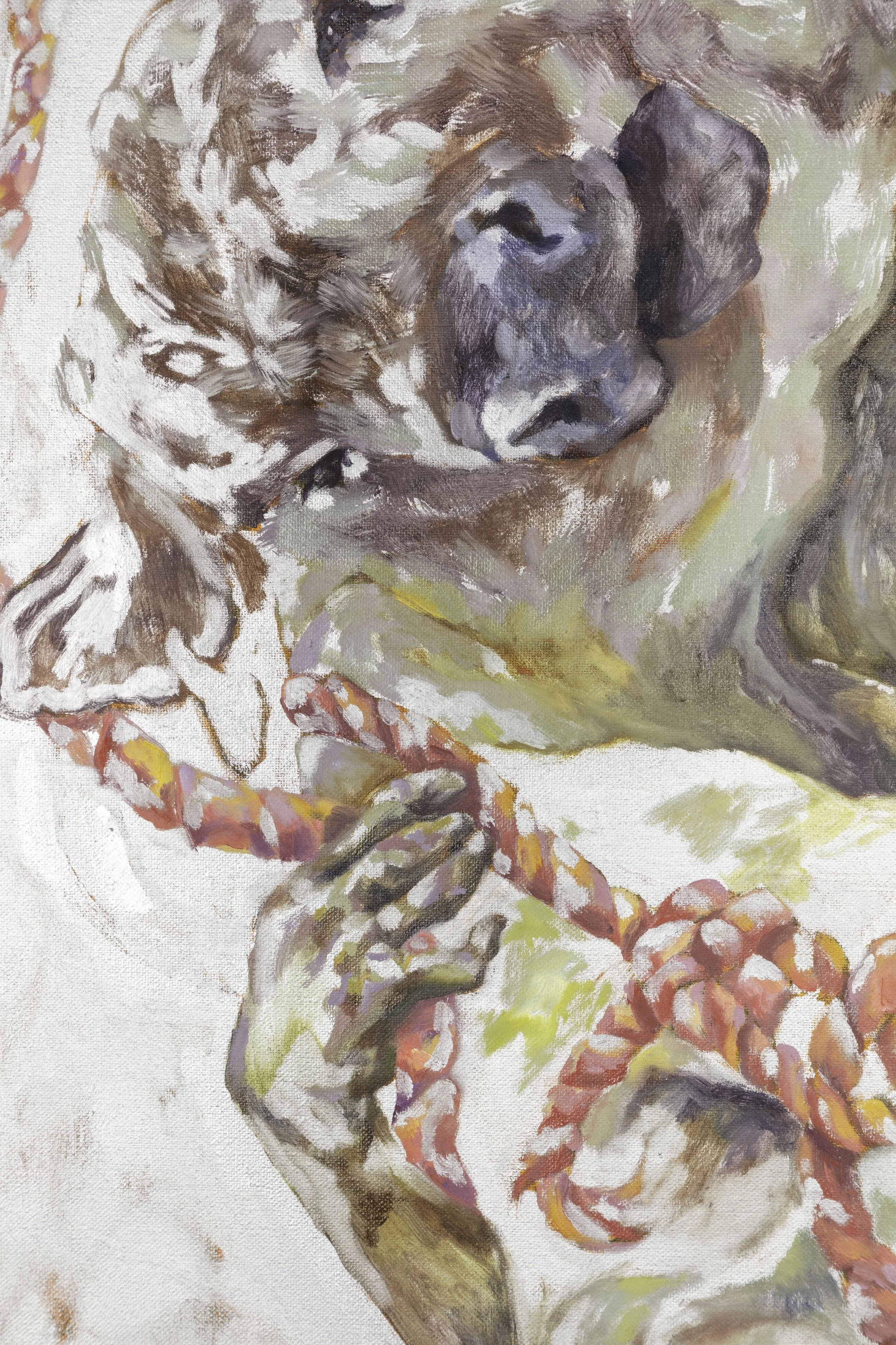 A close-up painting of a dog with closed eyes, holding a braided red and orange rope, with parts of the dog's face and paw visible.