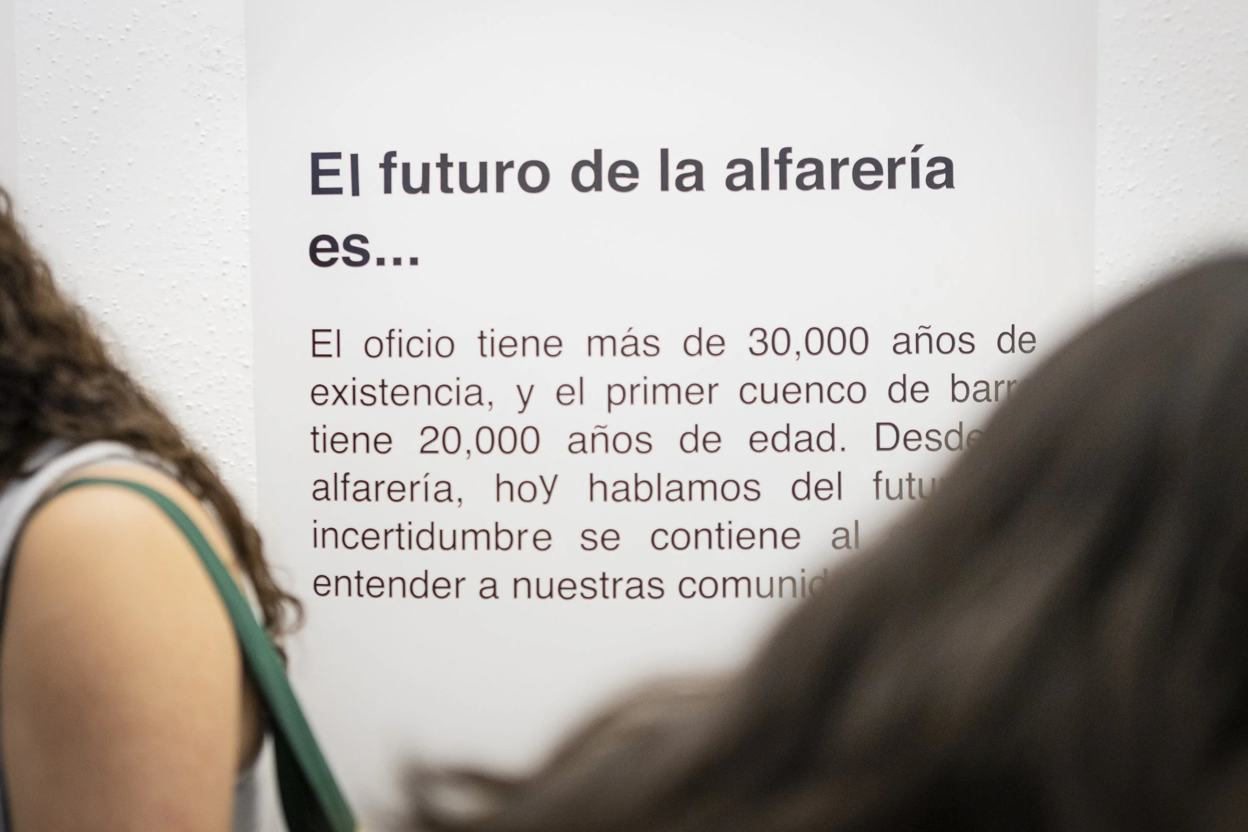 100alfarerxsdijeron_@enriquemedina.bo_2.jpg