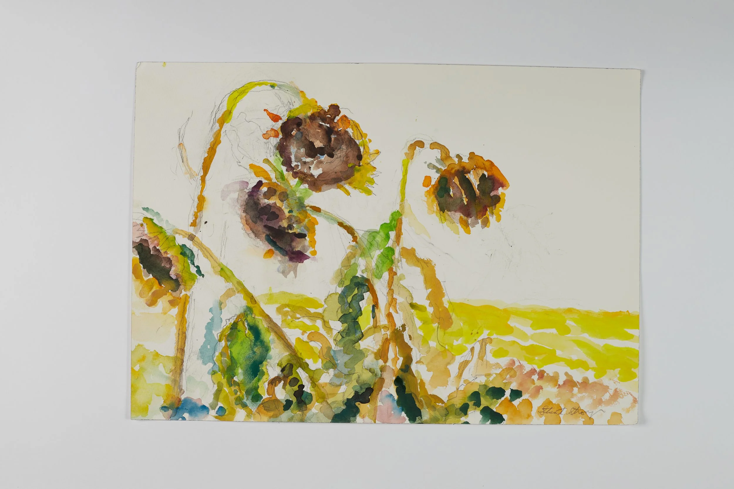 Paintings_April_18_2026.jpg 35.jpg