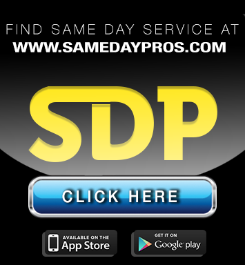 SDP1.png