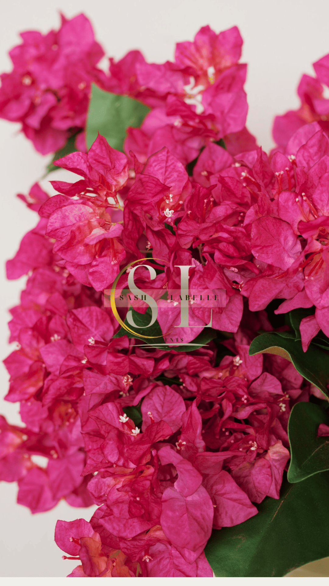 garden-inspired-wedding-flowers-in-regina (4).png