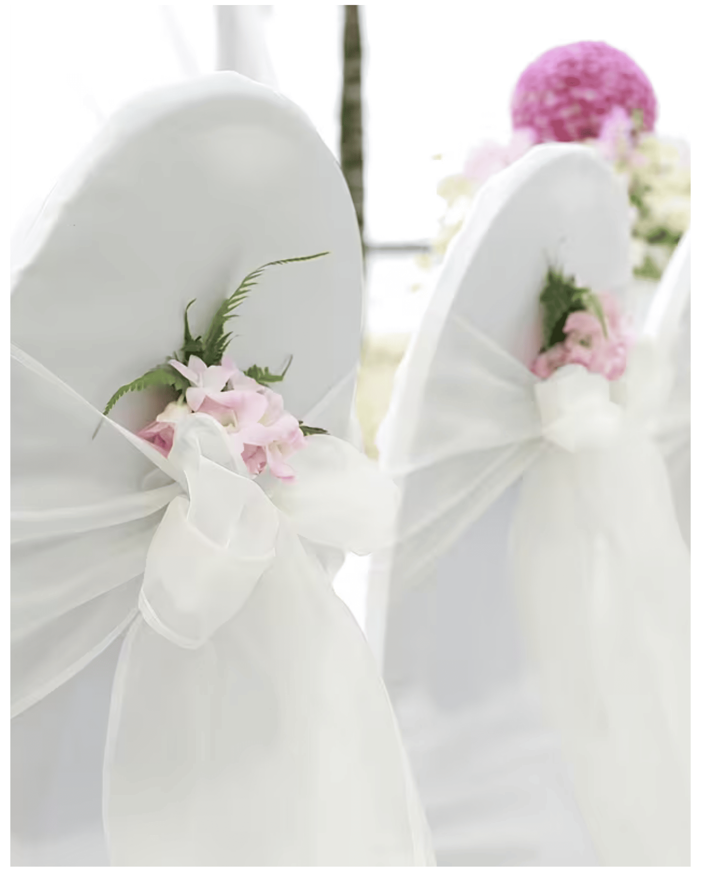 Sheer Voile Chair Sashes