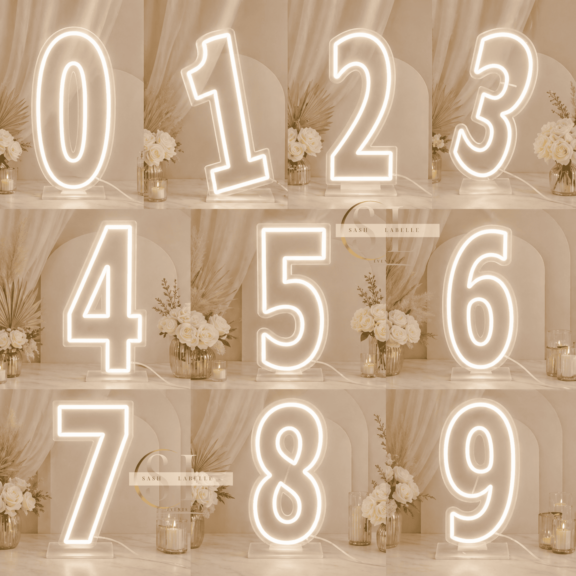 LED-sign-numbers-for-rent-in-regina (4).png