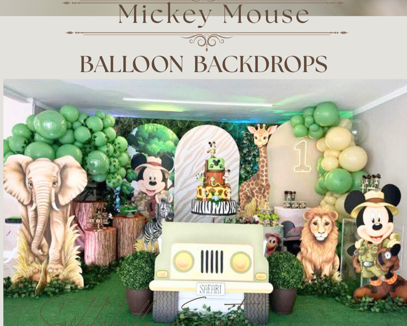 Mickey-mouse backdrop-for rent