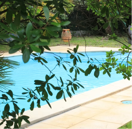 Piscine extérieure entourée de végétation et de branches d'arbres.