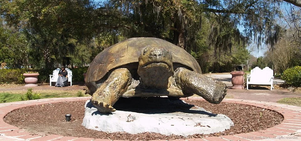 Large bronze turtle sculpture on a stone base in a park, with benches and trees in the background.