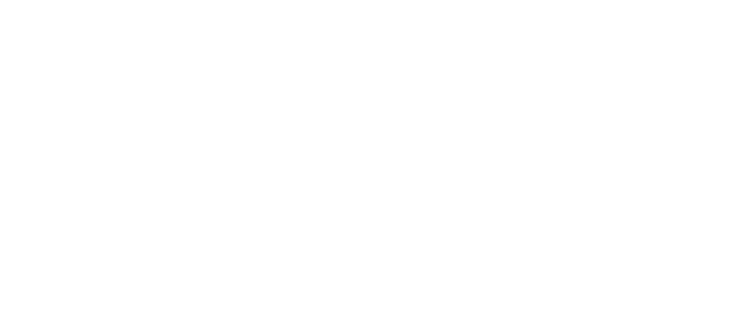INT