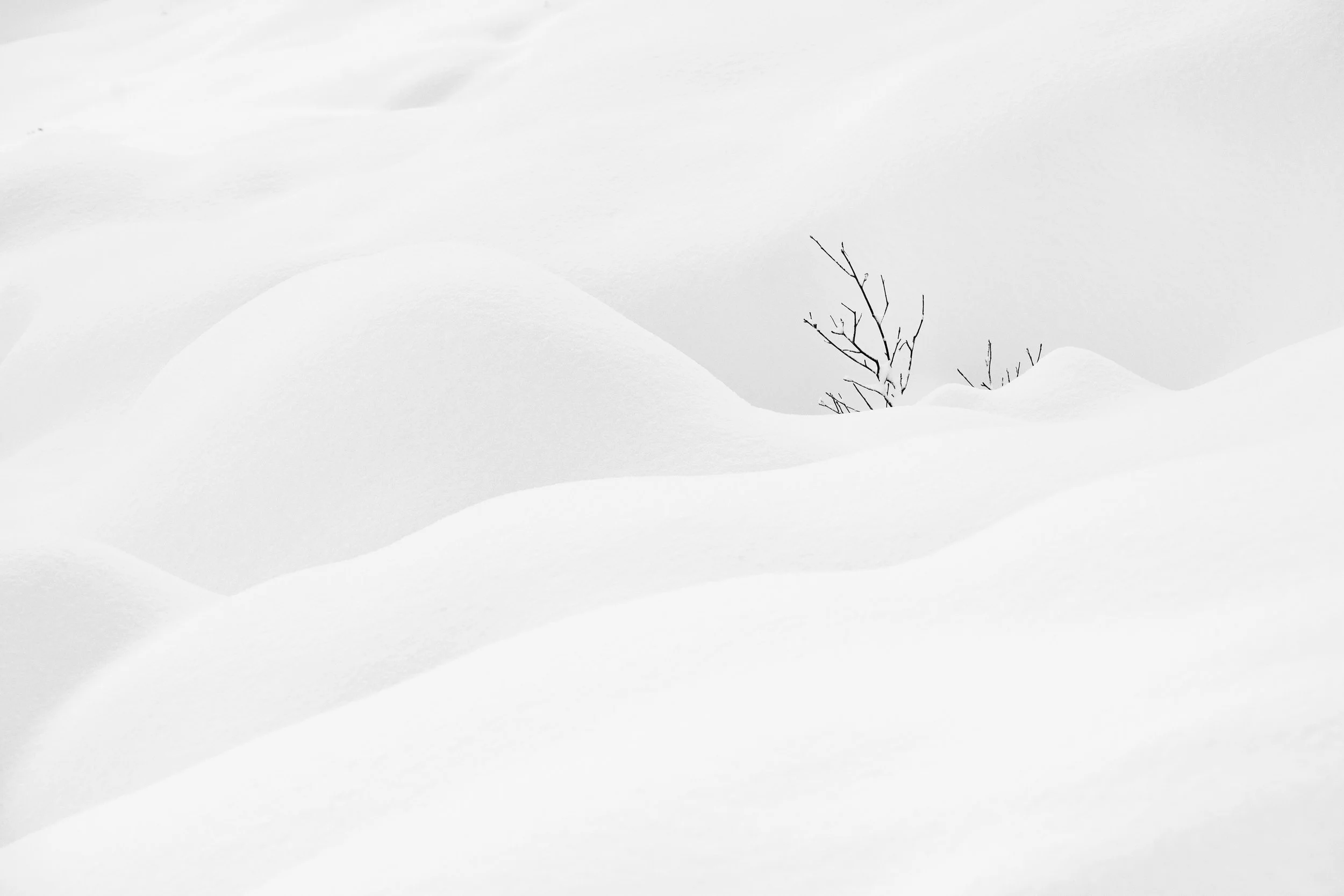 _DSC6999-Modifier-copie.jpg