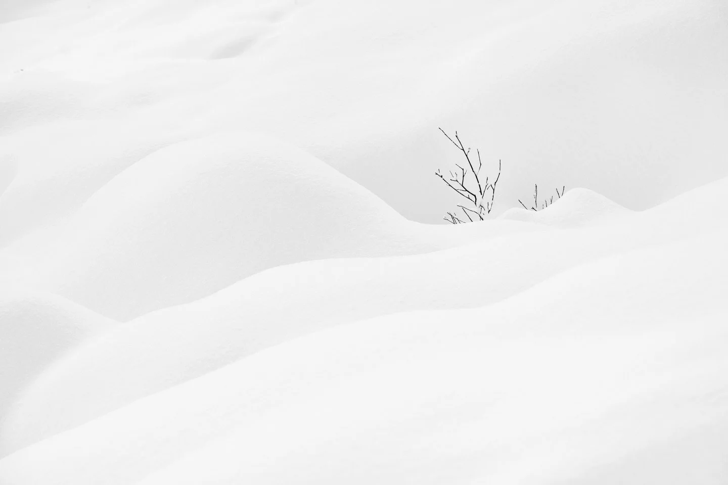 ❄️ Les courbes de l&rsquo;hiver.
Le ombres se dessinent sur le micro relief, la lumi&egrave;re peint le paysage. 🌞
.
.
.
#frenchalps #alpscape #landscape_photography #nikonphoto #nikonfr