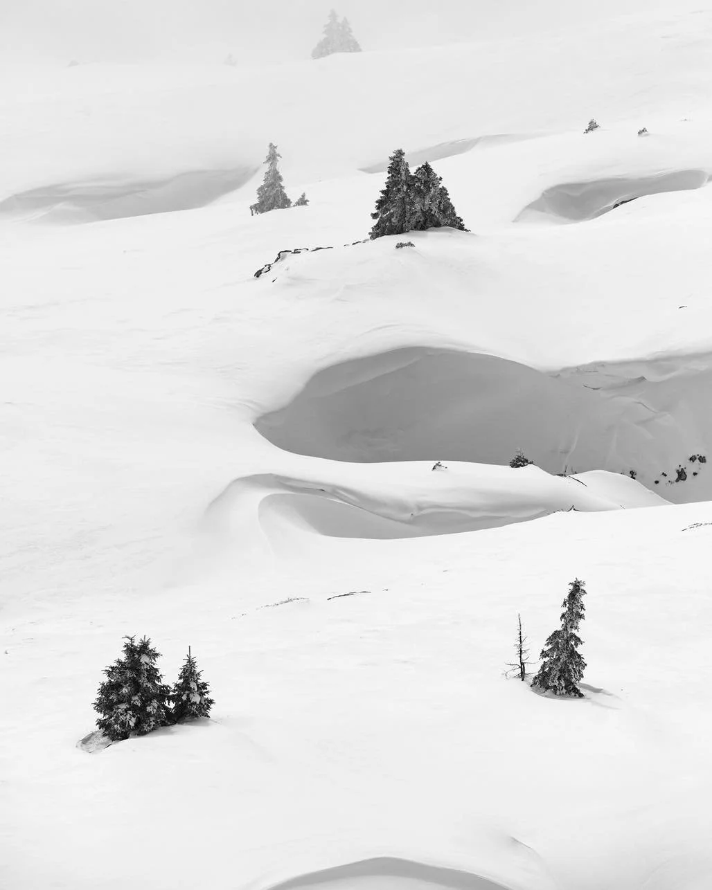 Le vent est un sculpteur. 🌬️
Sur un plateau calcaire, l&rsquo;hiver a recouvert les lapiaz. La bise est venue remu&eacute; les flocons, les reliefs sont marqu&eacute;s de petites corniches rappelant son passage et les quelques &eacute;pic&eacute;as 