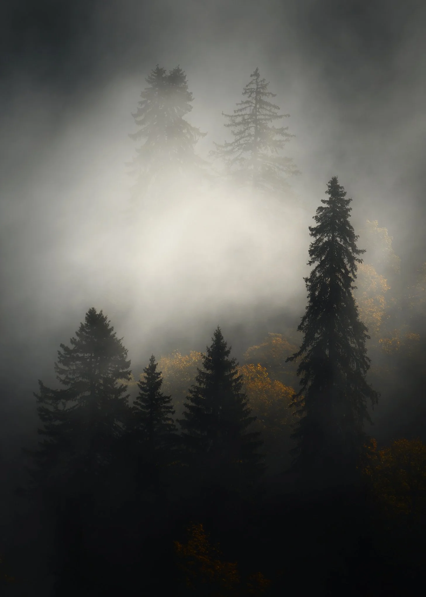 _DSC4605-copie.jpg