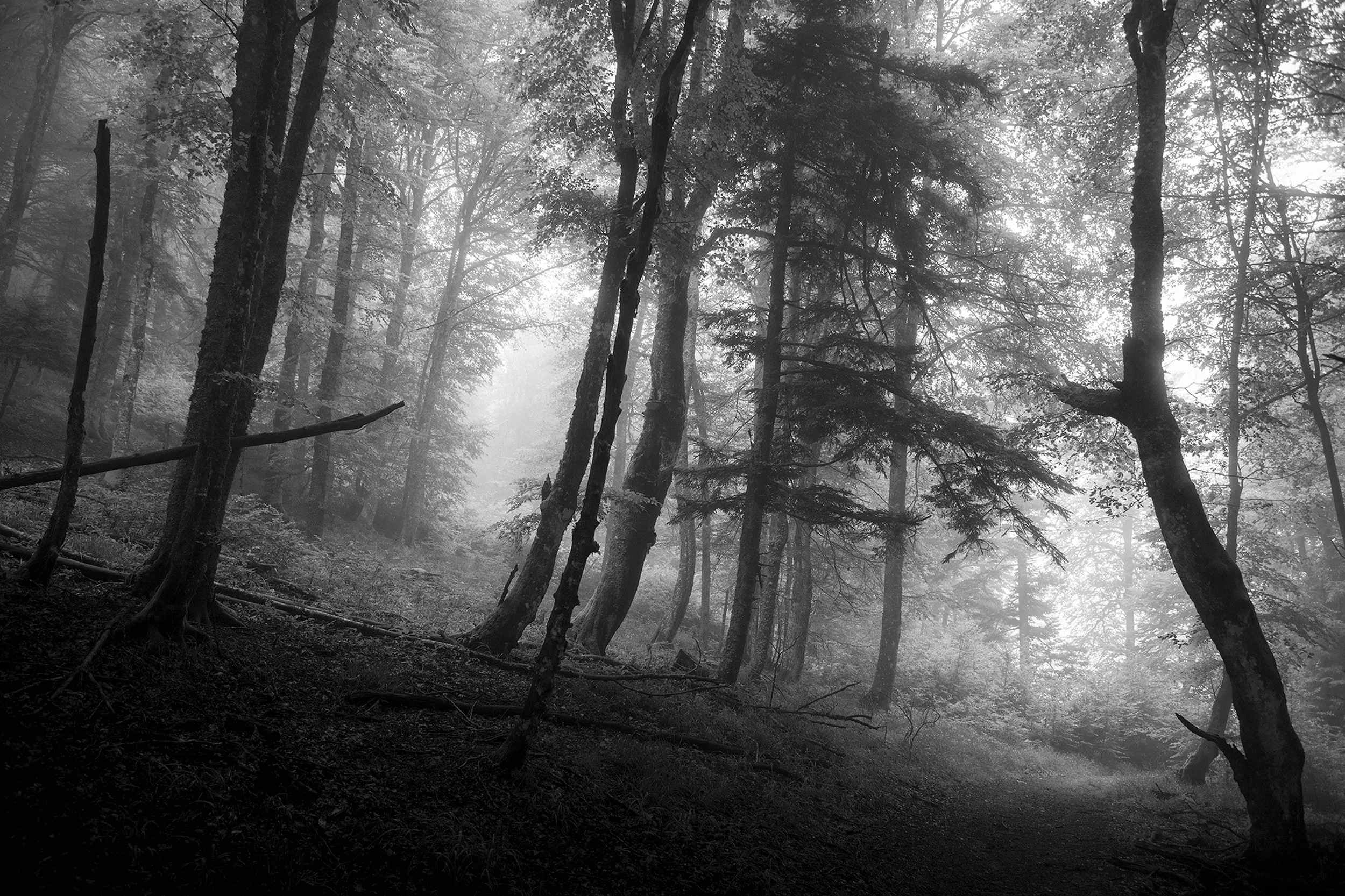 _LEA3331-copie.jpg