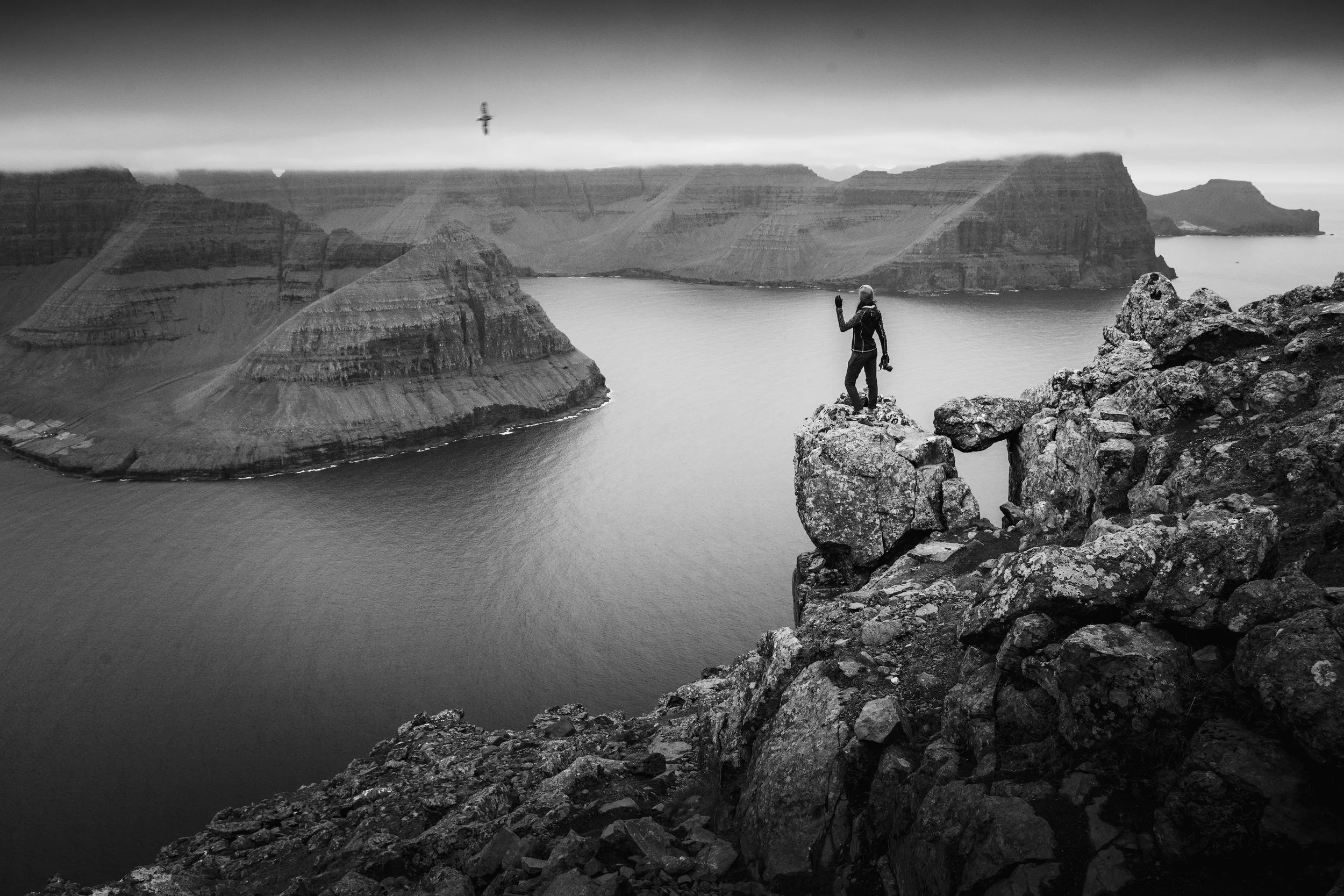 A person standing on rocky terrain overlooking a large body of water with layered canyon walls in the background. A bird is flying in the cloudy sky above.