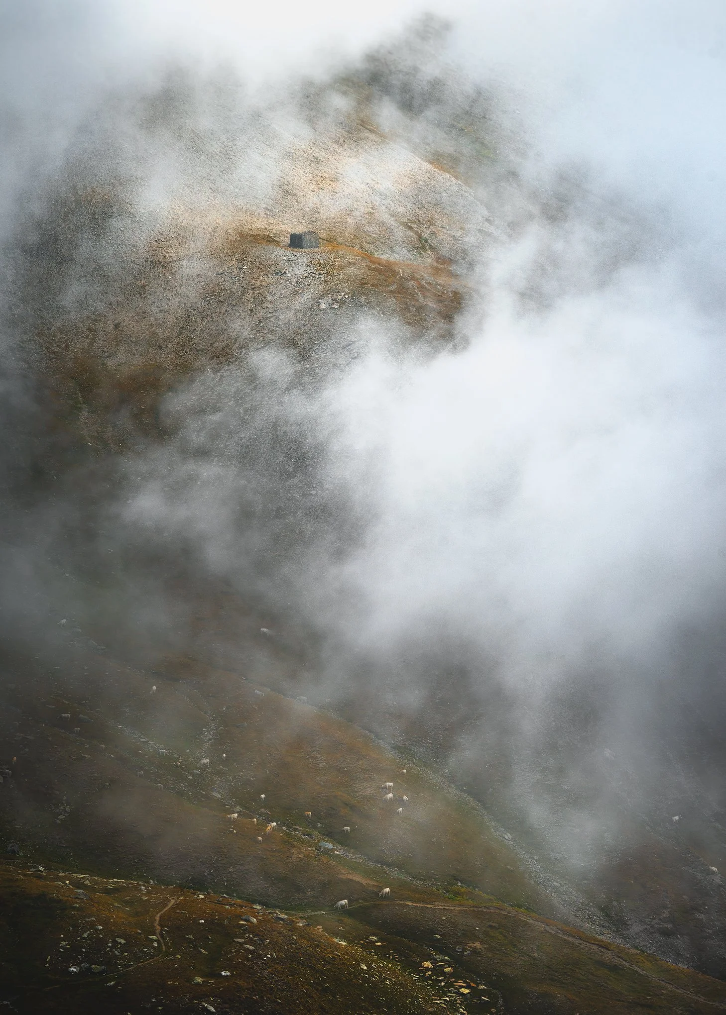 _DSC3209-v2-copie.jpg